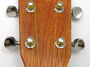 Ukulele Pegs
